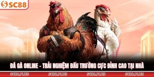 Đá gà online